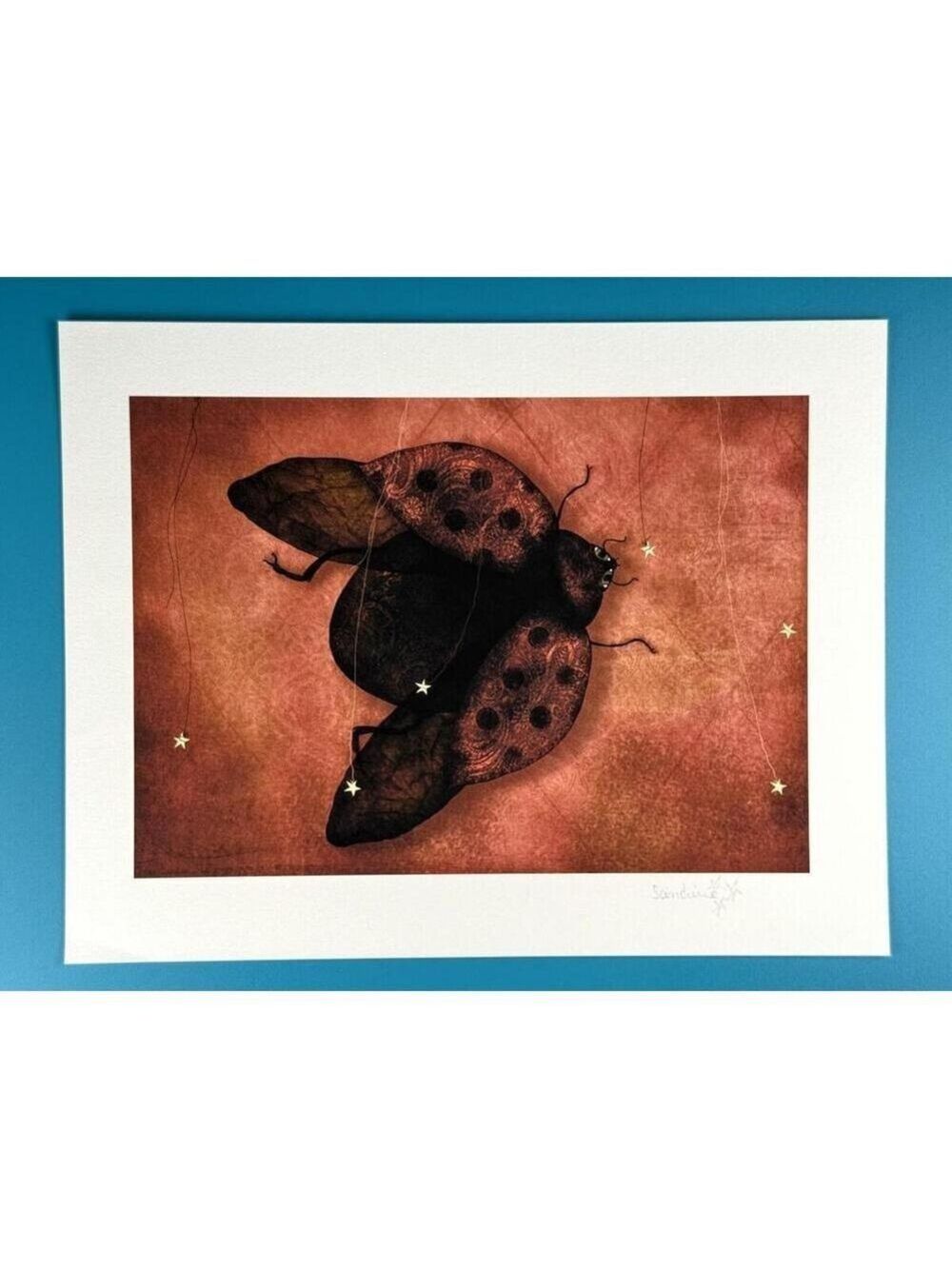 Sandrine Mercier Ladybug Stars Insect Illustration Signed Giclee Art Print